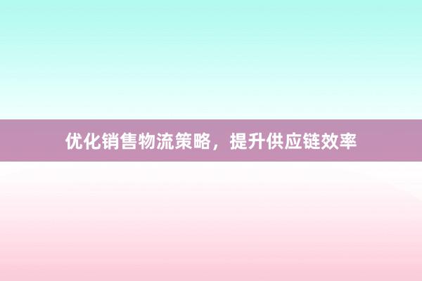 优化销售物流策略，提升供应链效率